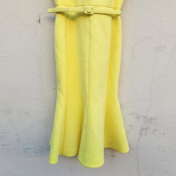 Oscar de la Renta Yellow Dress - Picture 9 of 13